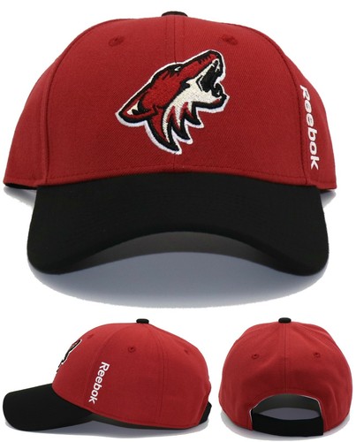 Arizona Coyotes AZ New Reebok NHL 2 