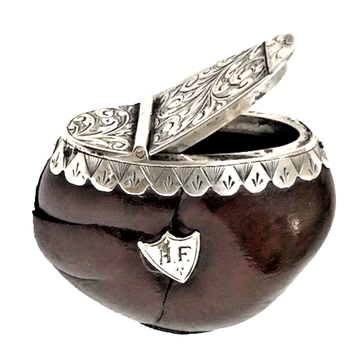 Superb Victorian Hallmarked Silver Mounted Nut Vesta Case. Birmingham 1899