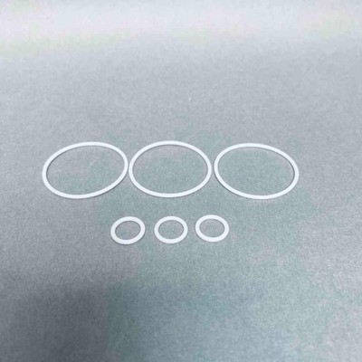 Thermo Scientific Pump Head Seals PTFE Total of 6 Seals