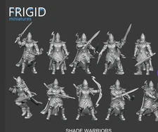 Elf Shade Warriors X10 28mm Fantasy High Elven Kingdoms Proxys