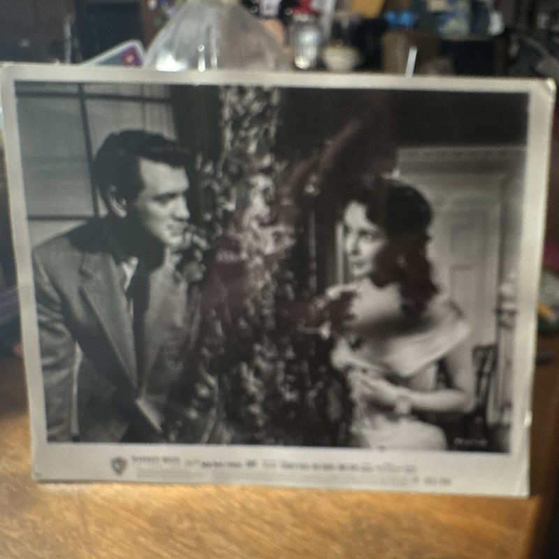 Vintage Black & White Landscape Photograph of Rock Hudson & Elizabeth Taylor