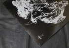 Bild 6 von 6
