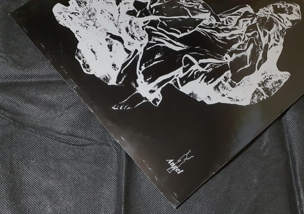Picture 6 of 6