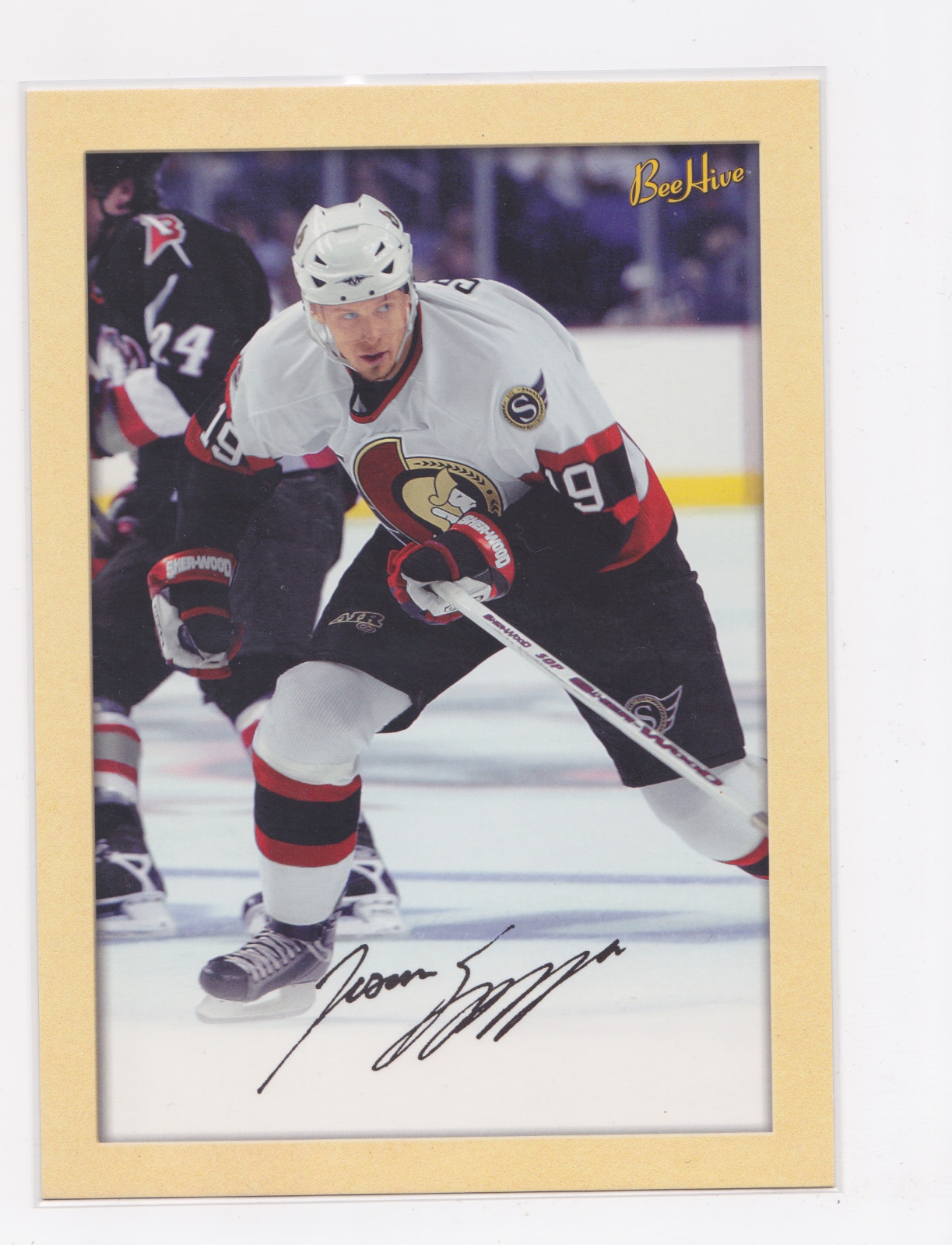 2005-06 BEEHIVE FACSIMILE SIGNATURES 5"X7" JUMBO CARD JASON SPEZZA #204 SENATORS