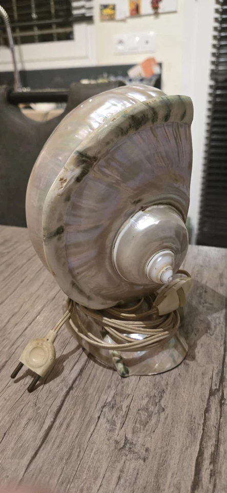 ANCIENNE LAMPE VEILLEUSE Gros Coquillage Nacré. 22 Cm - Photo 4/4