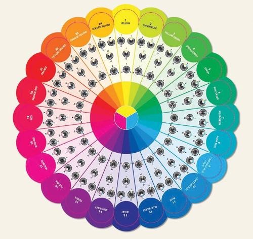 Essential Color Wheel Companion by Joen Wolfrom - 9781617451447