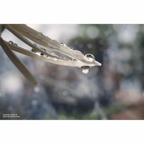 Lensbaby Velvet - Thumbnail 4