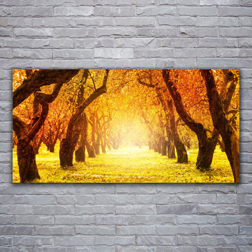 Tableau en verre forêt 120x60 cm pour illuminer un salon sombre
