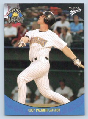 Cody Palmer 2003 MultiAd Sioux Falls Canaries
