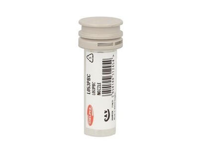 Delphi Injector nozzle L053PBC DAF CF85 DAF XF105 BEBJ1A00001 BEBJ1A00101 A00201