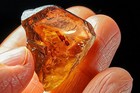 59.5Ct VVS Yellow Golden Champagne Imperial Topaz Specimen Facet Rough YTHV119 — photo 2