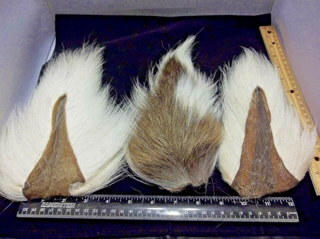 moose mane fly tying