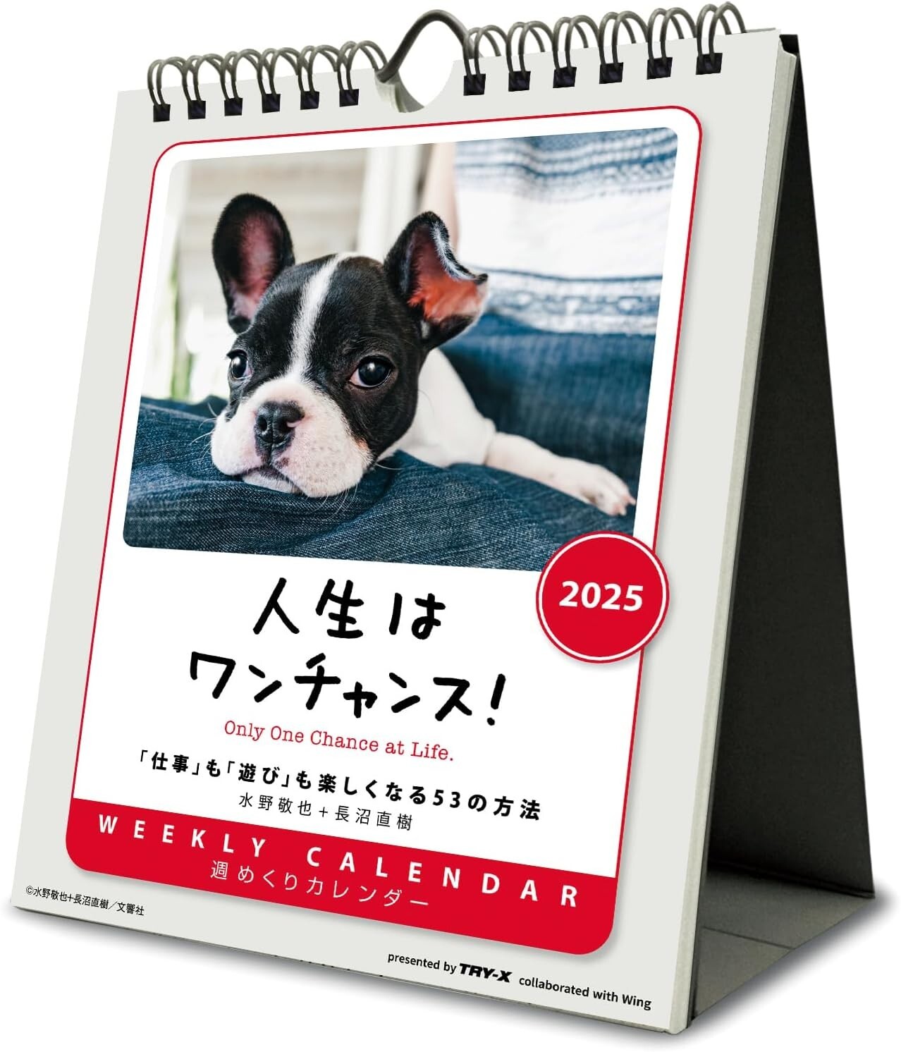 Desk Top Weekly Dog Life Works itself Out CL-383 Japanese Calendar 2025