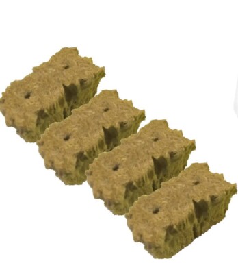 Deep Water Culture (DWC) Archives - WE Hydroponics