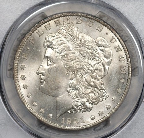 1901-O Morgan Dollar PCGS MS65 Gem! #1DYR