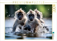 Calvendo Puzzle The Three Monkeys | 2000 Pieces, Finished Size 35.4 × 26.4 In (9