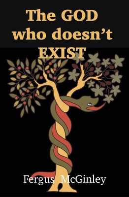 Fergus McGinley The God who doesn t exist (Taschenbuch)