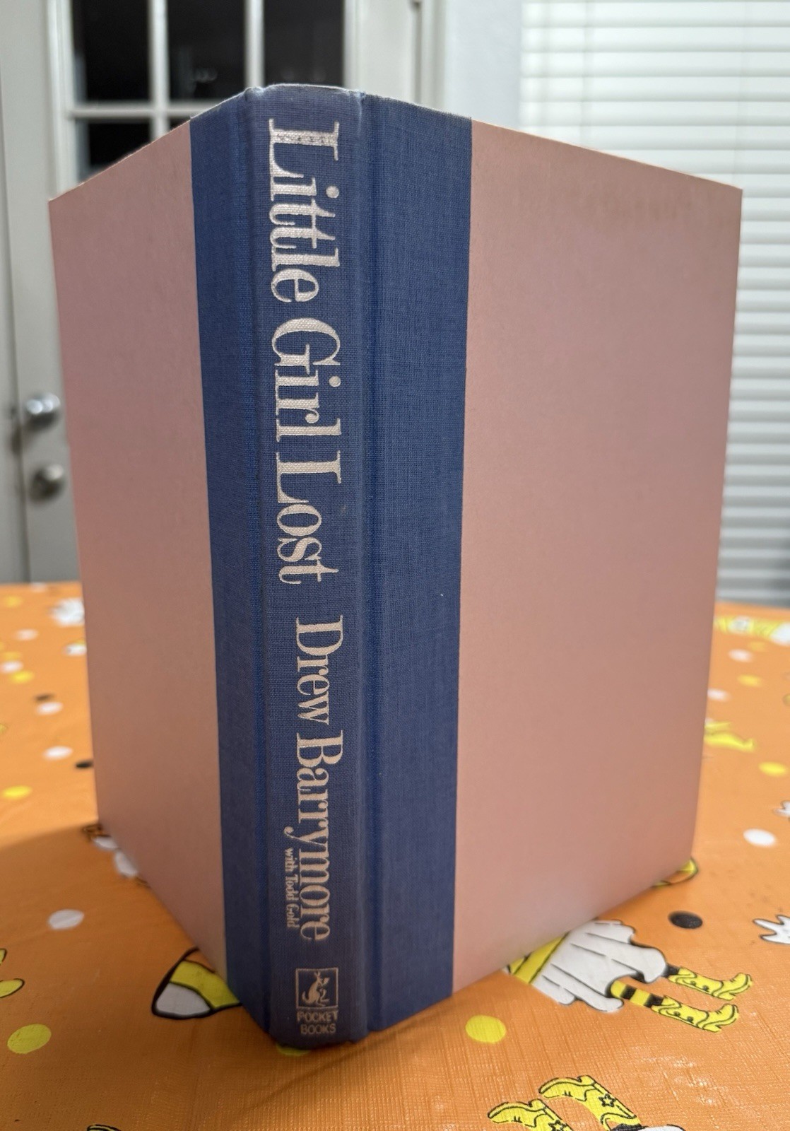 Little Girl Lost by Drew Barrymore and Todd Gold.. 1990 First Edition HC w/ DJ.