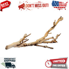 Small Forest Branch - Natural Wood Terrarium Decoration for Reptiles, Amphibians