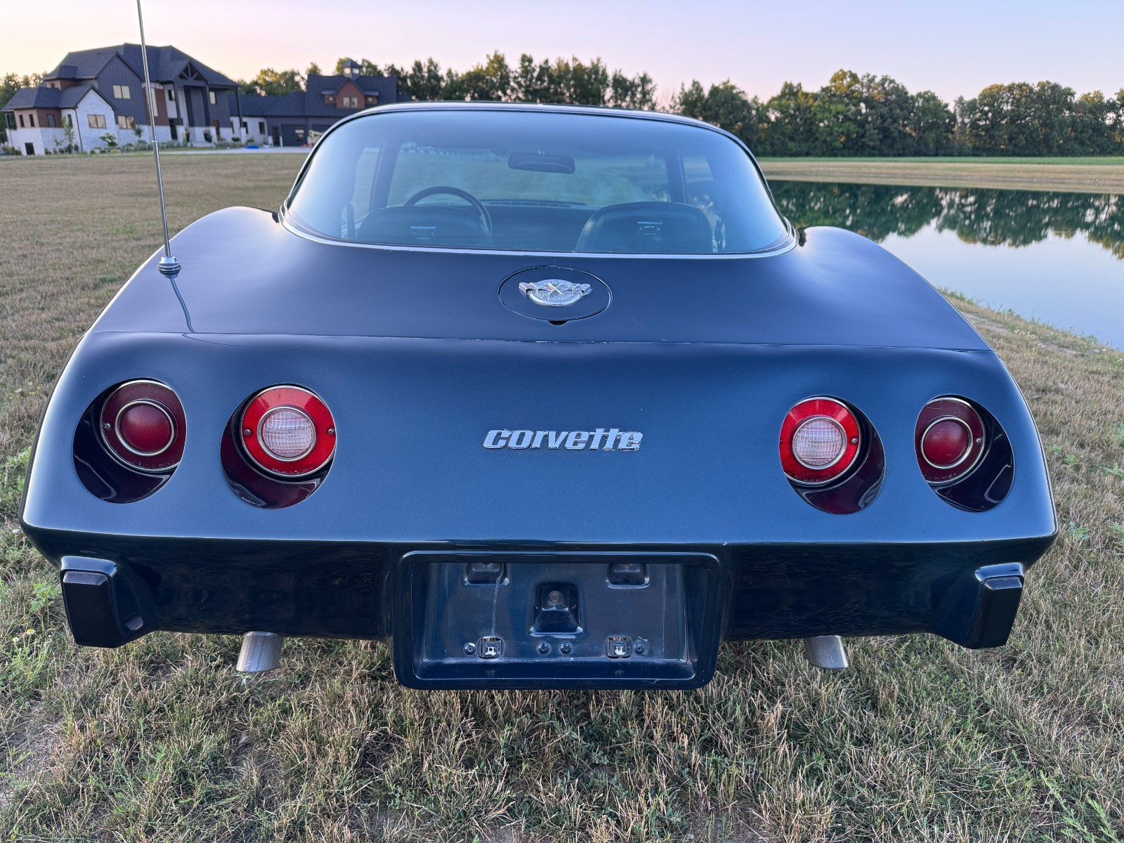 1978 Blue Chevrolet Corvette   | C3 Corvette Photo 4