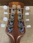 David Freshwater Mandolin - Near Mint - Made In 2000 — photo 8