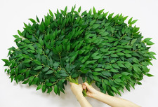 56Pcs Italian Ruscus Greenery Stems for Wedding Decor  Home Centerpieces