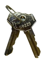 Keys for Liftmaster LA500 Gate Opener 041ASWG-0119 2-Keys SafeCo Brands