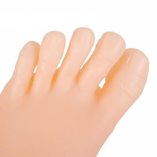 Feet Fake Foot Model Manikin Feet Multipurpose Lifelike PVC Realistic for - Picture 4 of 7