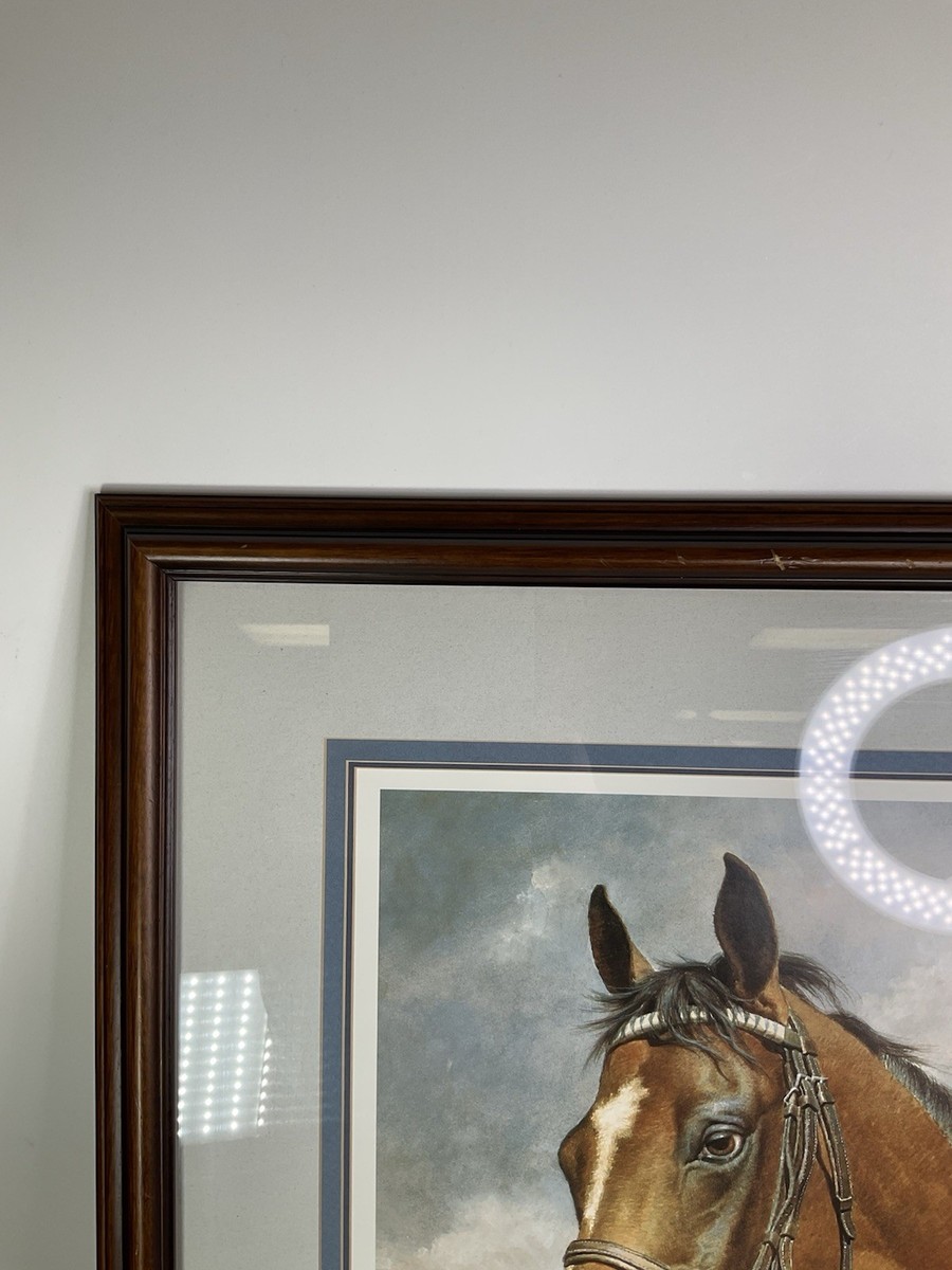 Fred Stone Signed Cigar Horse Limited Edition #484/1150 Wood Frame