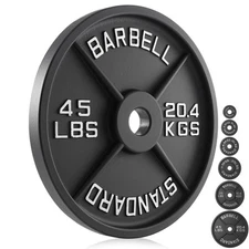 Cast Iron Olympic 2-inch Weight Plates, 2.5 - 45LB