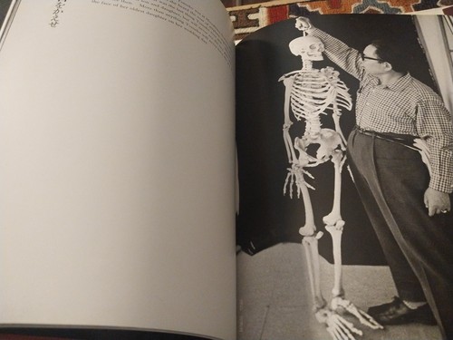 Living Hiroshima/Japan Photo Documentary/1978 Hardcover by Domon Ken/Excellent - Picture 14 of 18