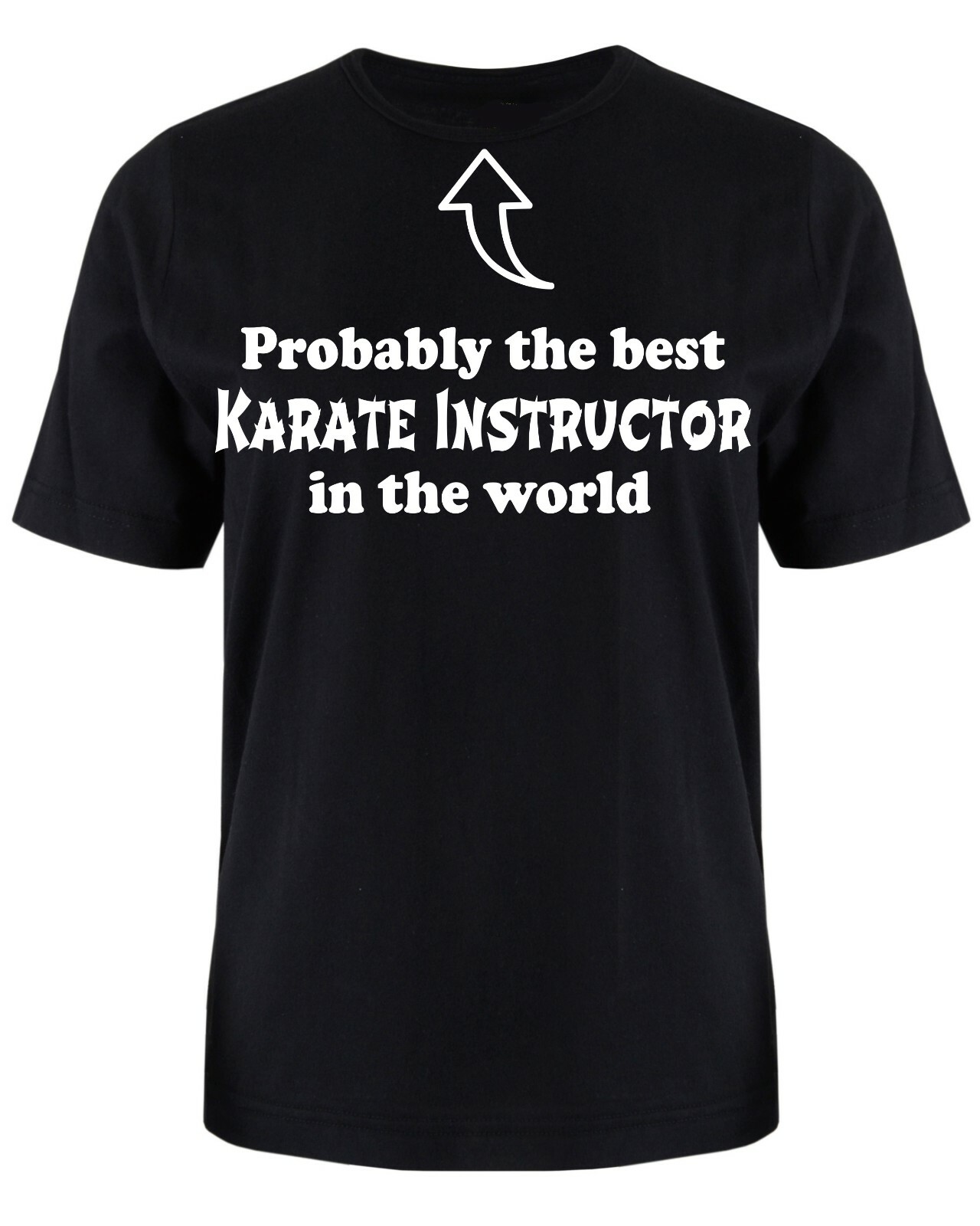 ALTRA Probabilmente la migliore maglietta istruttore di Karate S XXXL regalo compleanno Natale