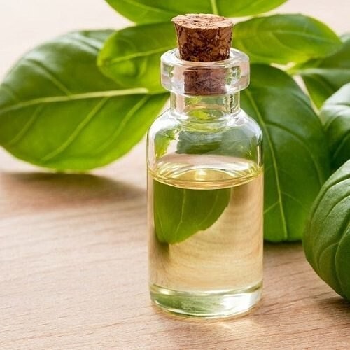 Basil Oil - Ocimum bassillicum - Picture 2 of 2