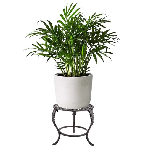 Heavy Duty Cast Iron Plant Stand Vintage Iron Flower Pot Holder, Rustic Decor... - Picture 2 of 7