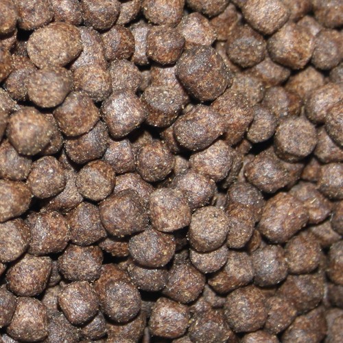 Koifutter Wachstumsfutter Schwimmfutter Koi Profi Aufzuchtfutter für Koi 6mm 5kg - Bild 3 von 6