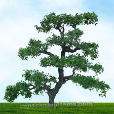  MP SCENERY 2 Beech HO Scale Architectural Model Trees Railroad Layouts