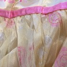 Bild 8 von 12