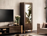 Vitrine Holz Schrank Klassische Vitrinen Holz SchräNke Design Wohnzimmer MöBel