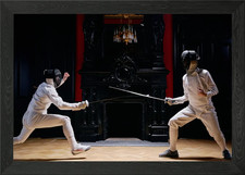 Fencing Framed Wall Art Poster Canvas Print Picture