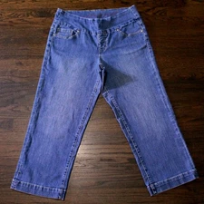 Jag Jeans Classic Fit Women's Straight Leg Pullon Ankle Pants Size 12 Stretch 