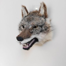 Handgemachter Realistischer Wolfskopf Deko Kunstfell Kopf Wanddekoration Bar