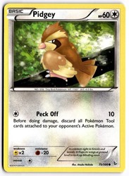 Pidgey 75/106 XY - Flashfire Common