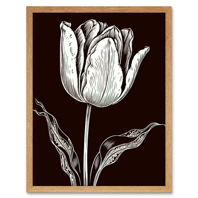 Tulpe Blume schwarz-weiß Kontur Volkskunst gerahmtes Kunstbild Druck 9 x 7 Zoll