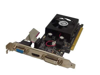 GAINWARD GEFORCE 210 1GB SDRAM PCI-E GRAFIKKARTE DVI VGA HDMI #GK10683