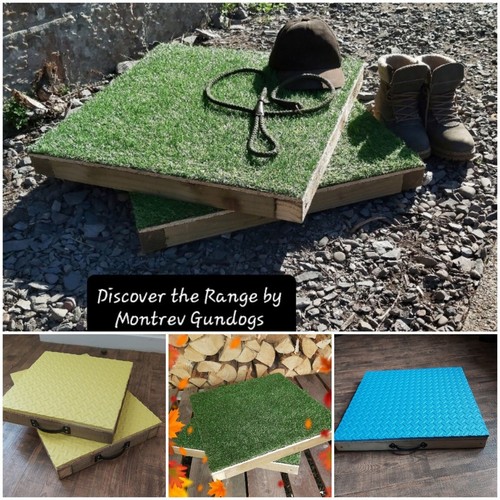 Dog Training Place Board/Platform/Gundogs/Agility/Obedience/Puppies/Dog Sports - Picture 14 of 23