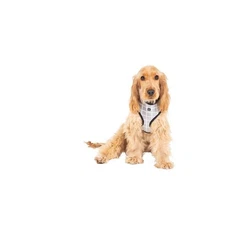 Mog & Bone Neoprene Dog Harness (Grey Check) - Large