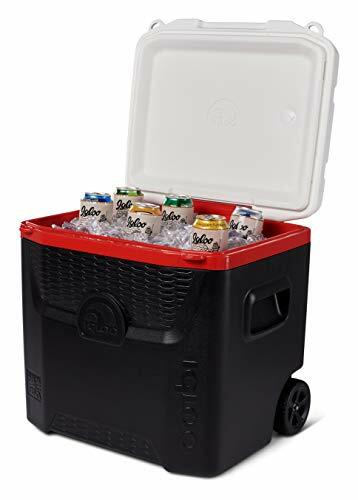 quantum 55 qt cooler