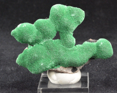 Malachite , Milpillas Mine, Mapimi, Sonora, Mexico, 53x41mm