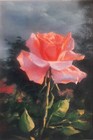 Bild 7 von 10