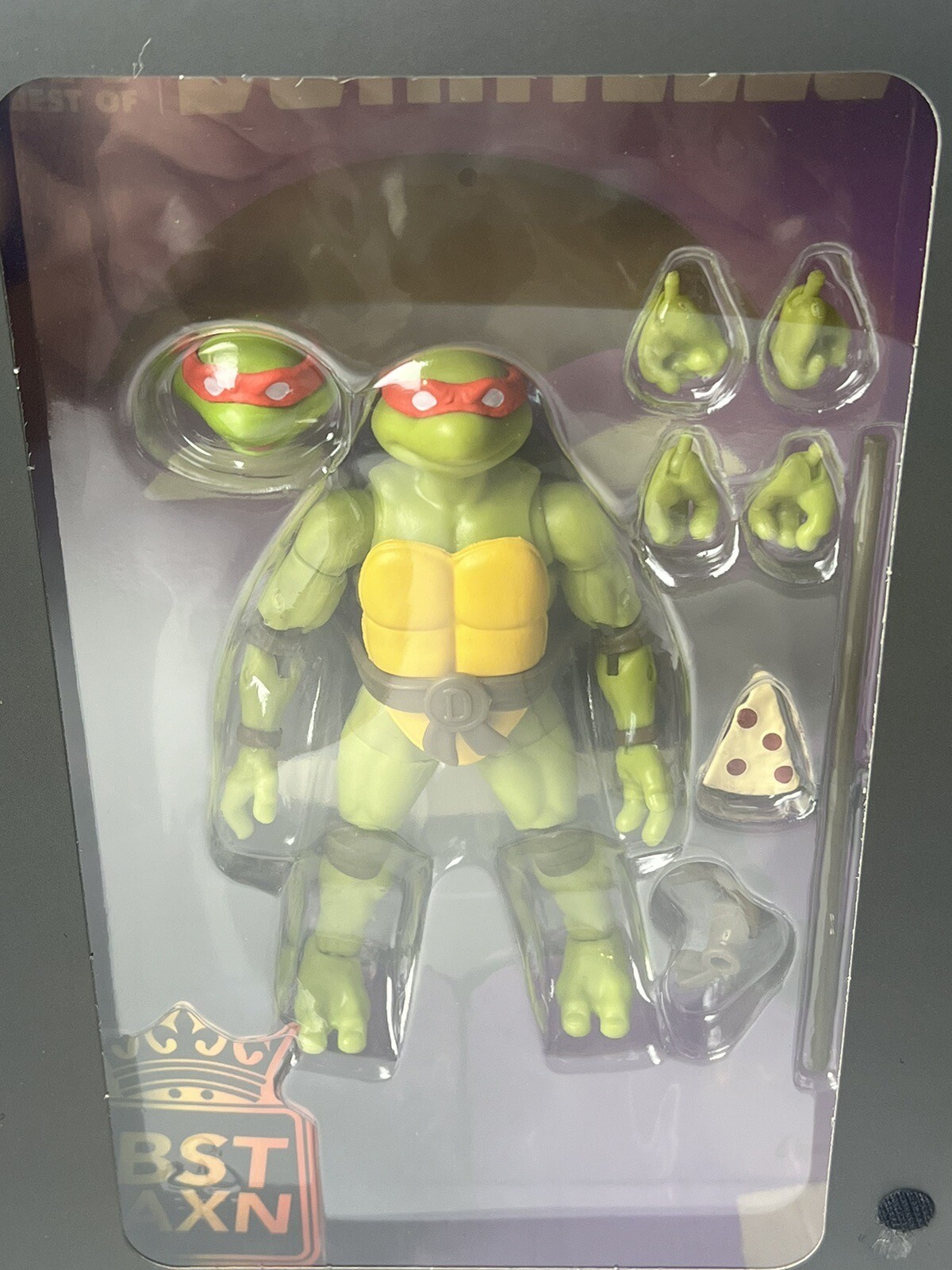 Teenage Mutant Ninja Turtles Donatello Comic Book & Action Figure BST AXN